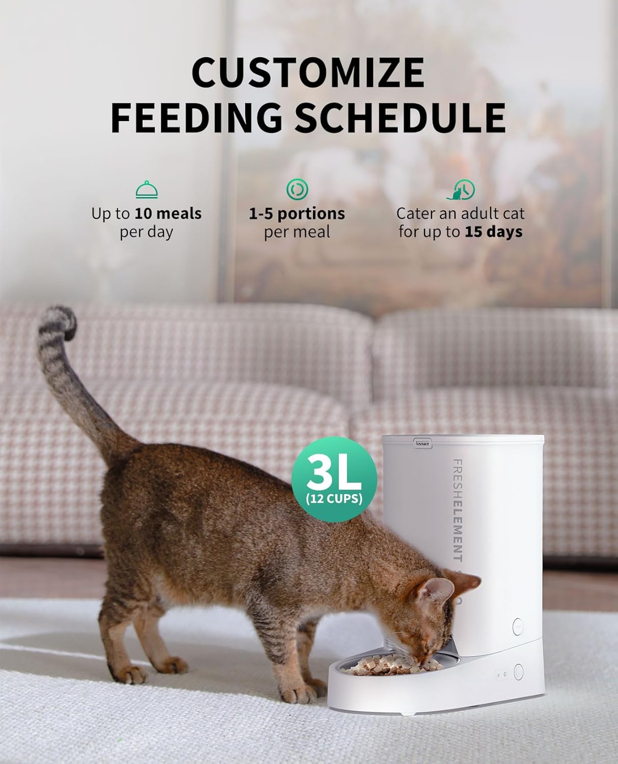 Fresh Element Solo Automatic Feeder