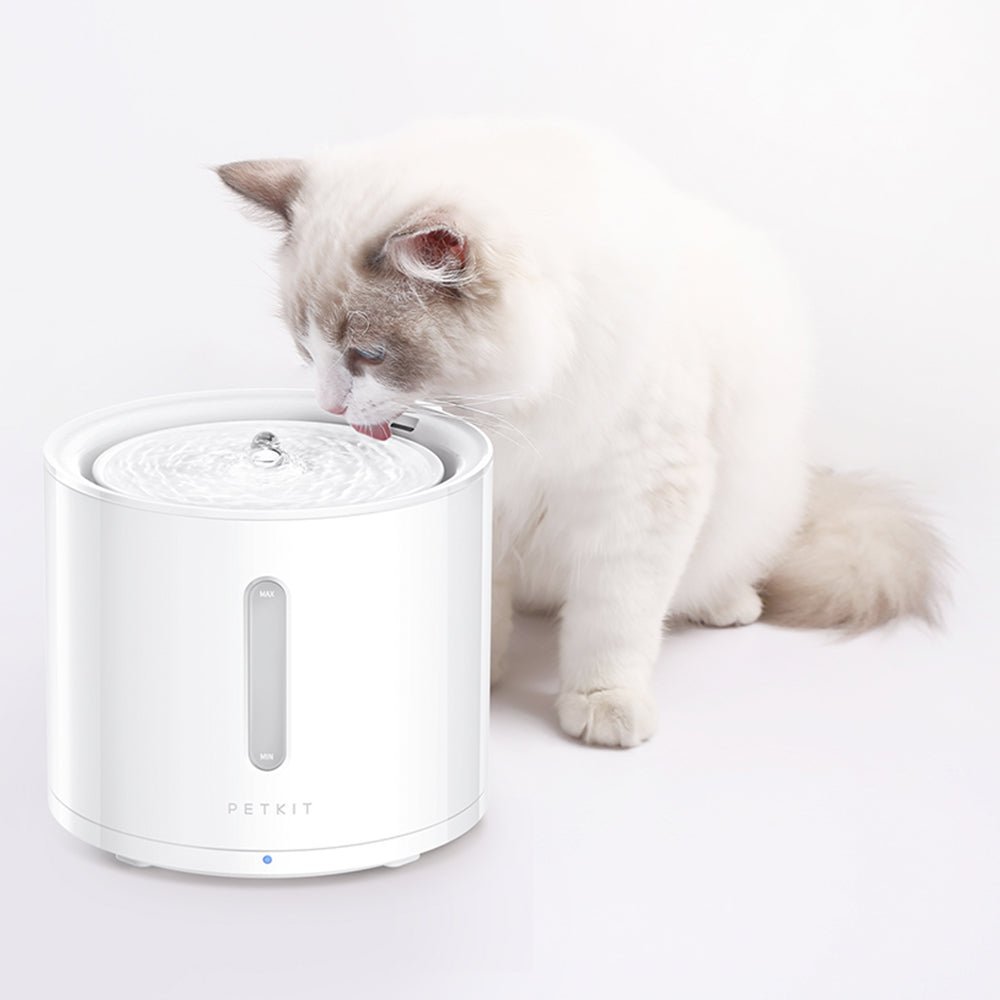PETKIT Unidad de Filtro 3.0 | 5 unidades