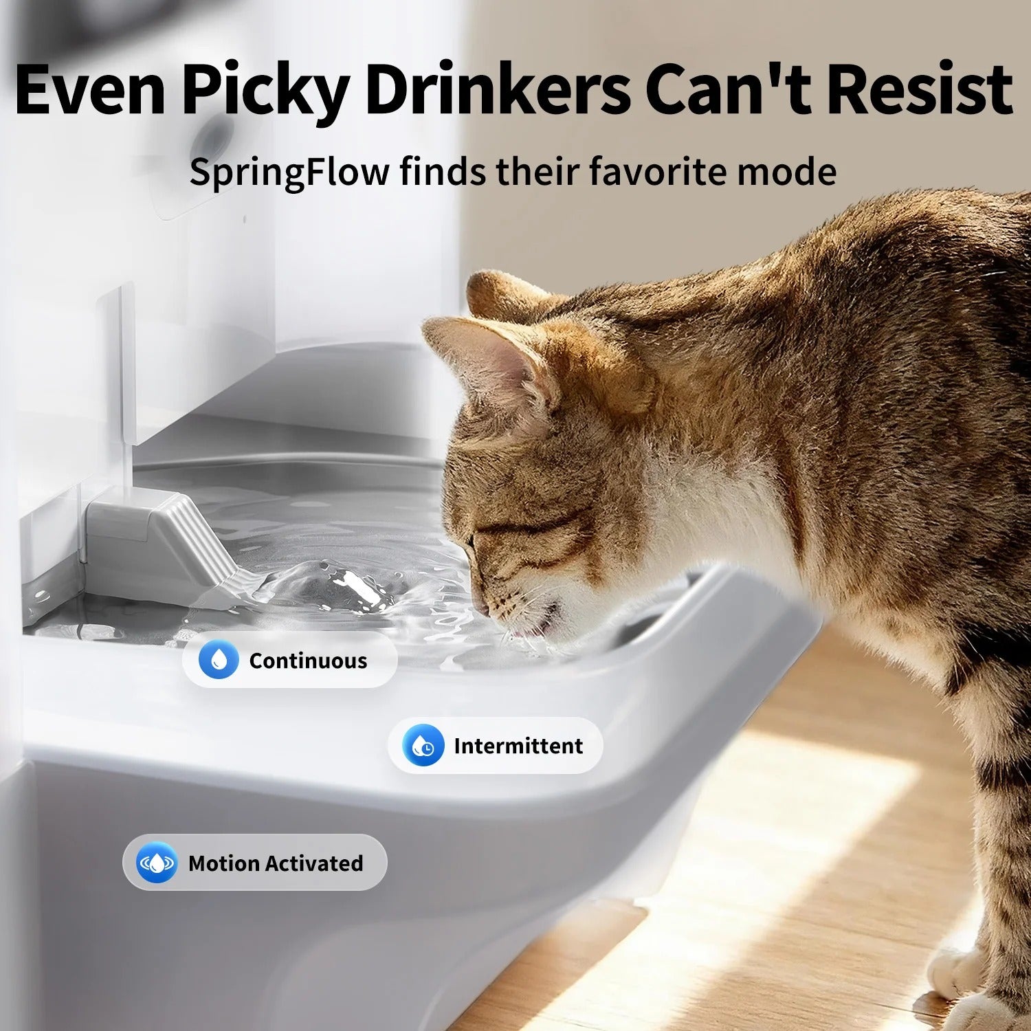 EverSweet Ultra with Camera Pet Water Fountain